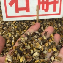 药用石斛各种规格齐全