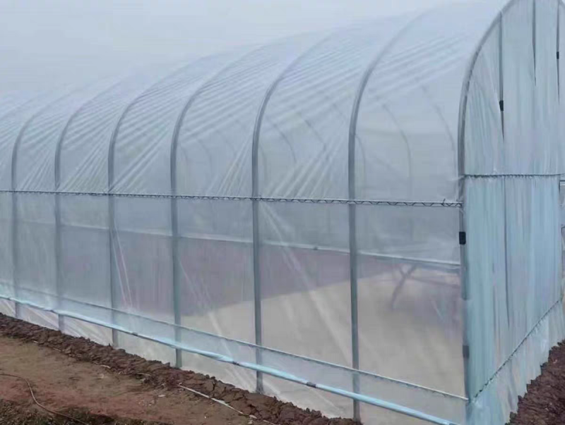 专业生产蔬菜种植大棚成套养殖钢架棚全国发货上门安装
