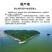 茶叶黄茶君山银针罐装75克湖南特产新茶产地直超值包邮