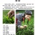 茶叶黄茶君山银针罐装75克湖南特产新茶产地直超值包邮