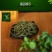 茶叶黄茶君山银针罐装75克湖南特产新茶产地直超值包邮