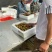 荔枝基地大量供应全国空运当天配送到货西藏新疆青海等