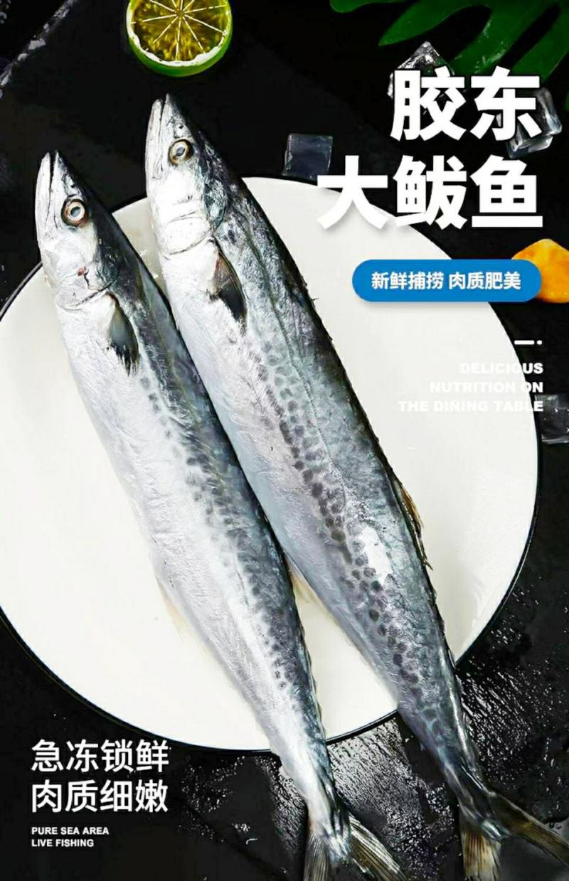 新鲜鲅鱼体肥刺少肉厚新鲜营养美味（5斤1件包邮）