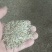 四季青草坪种子护坡草子高羊茅狗牙根黑麦草耐践踏庭院绿化草