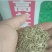 四季青草坪种子护坡草子高羊茅狗牙根黑麦草耐践踏庭院绿化草