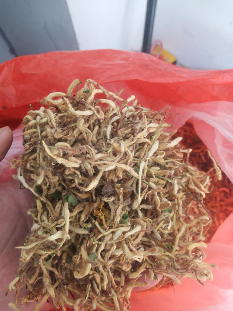 金银花晒货全花蕾开花货都有颜色白黄当年新货产地直销