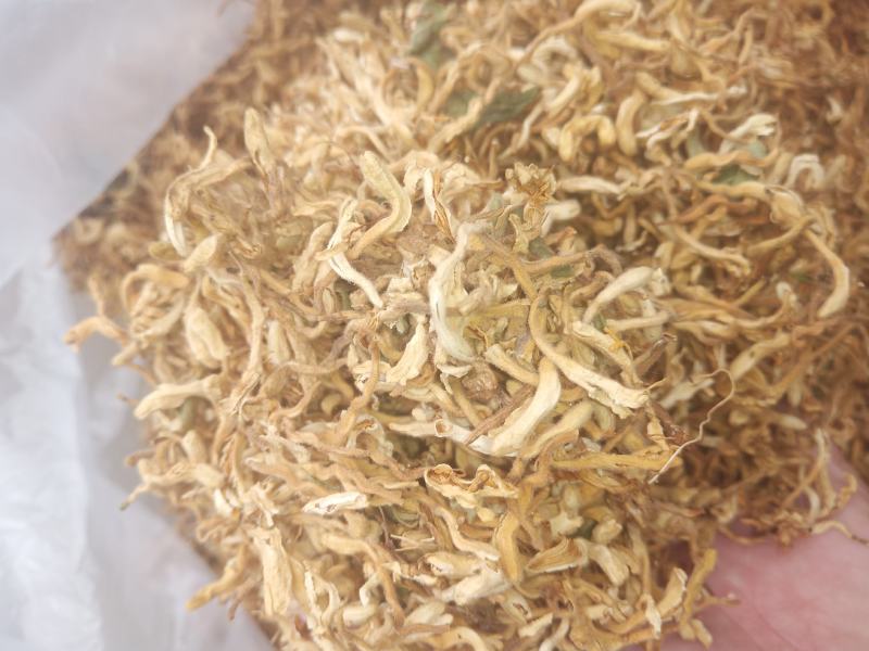 金银花晒货全花蕾开花货都有颜色白黄当年新货产地直销