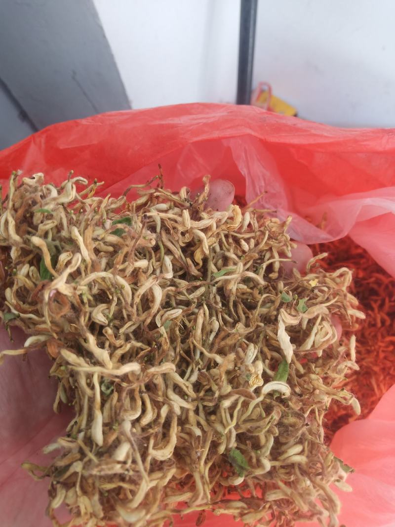 金银花晒货全花蕾开花货都有颜色白黄当年新货产地直销