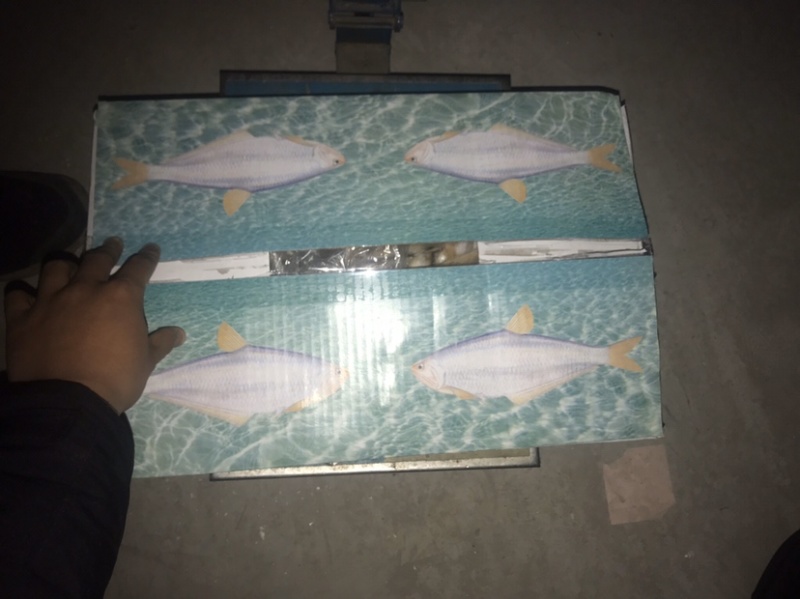 毛扣鱼，黄鲫鱼，适合超市，食堂，集市，电商