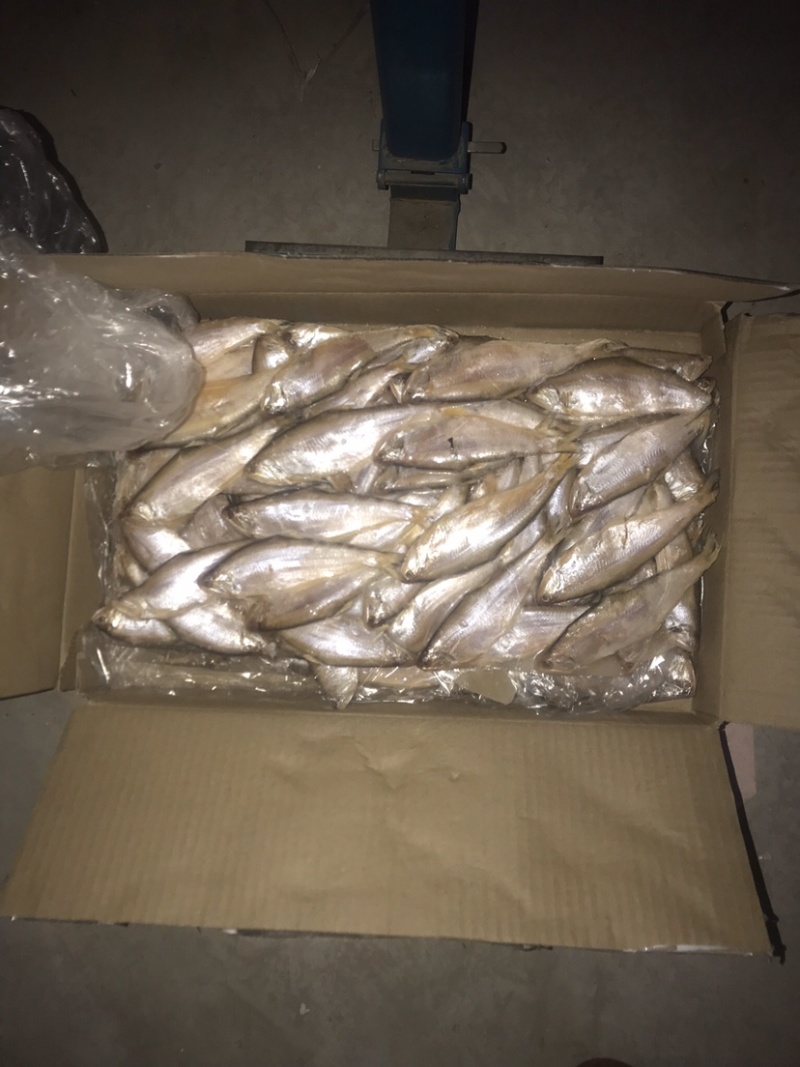 毛扣鱼，黄鲫鱼，适合超市，食堂，集市，电商