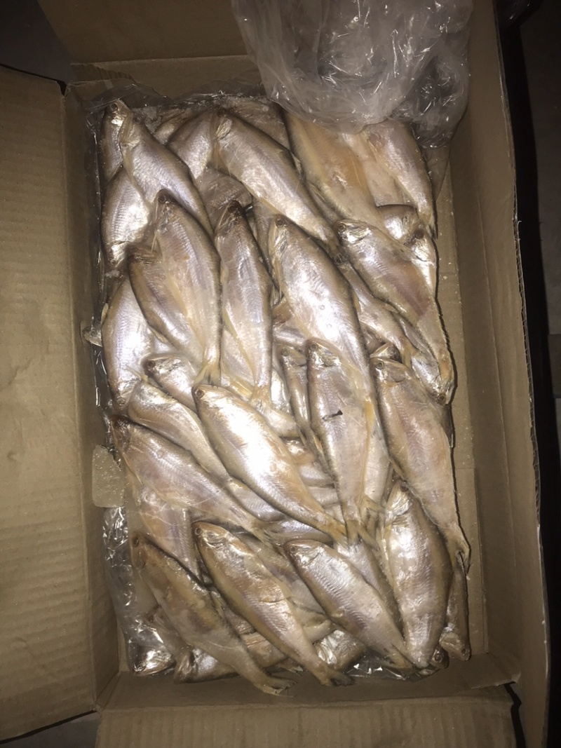 毛扣鱼，黄鲫鱼，适合超市，食堂，集市，电商
