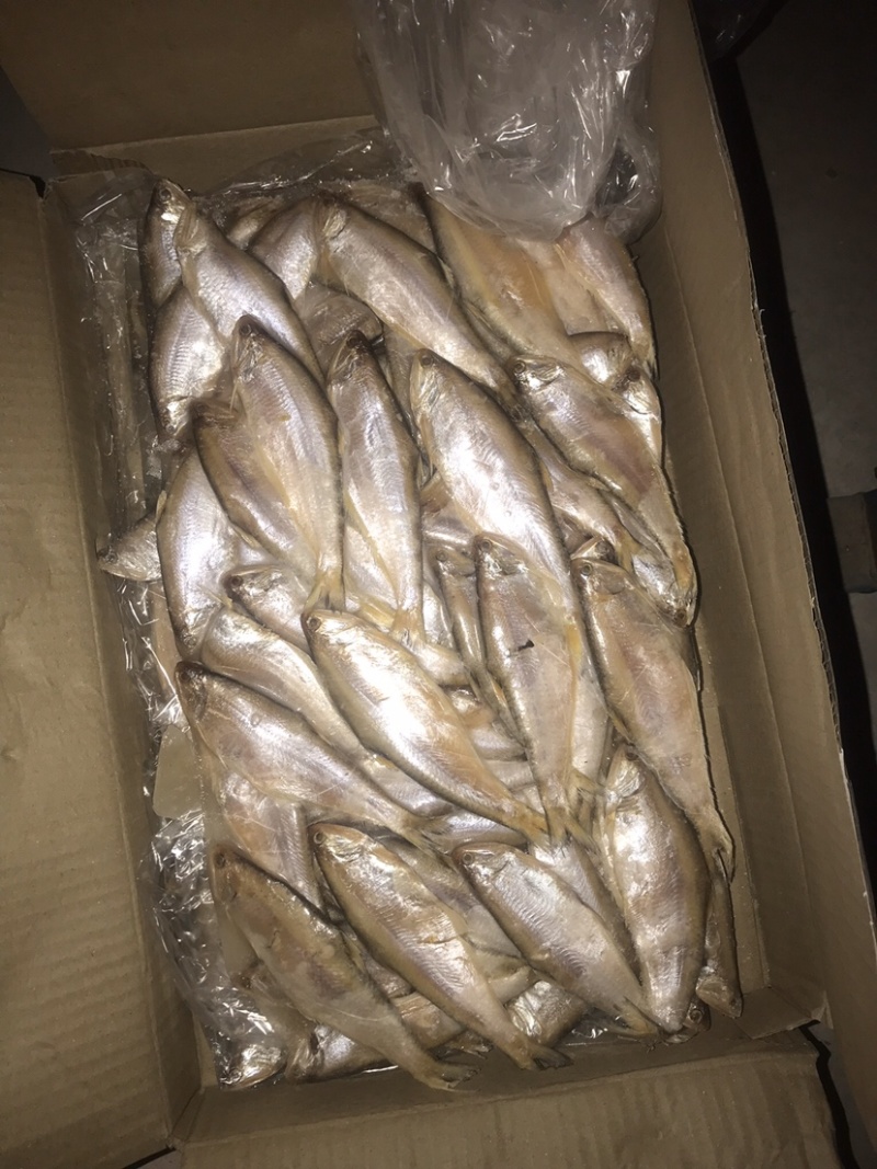 毛扣鱼，黄鲫鱼，适合超市，食堂，集市，电商