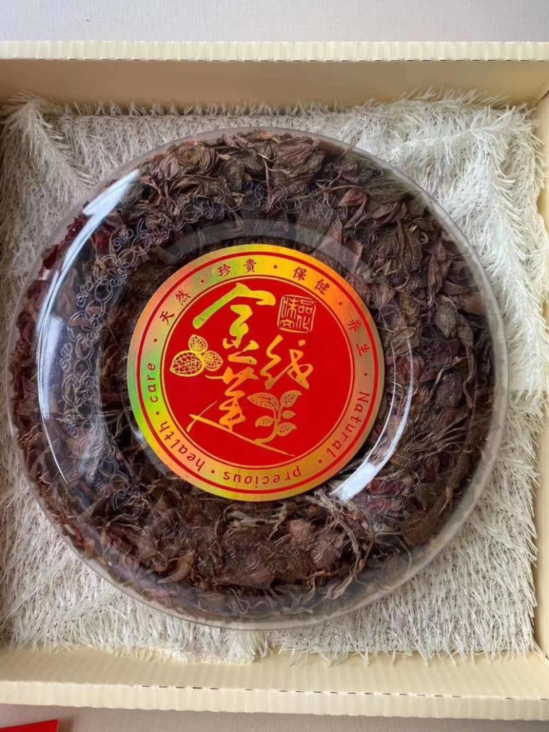 金线莲种子金线莲苗子提供技术可货到付款包邮