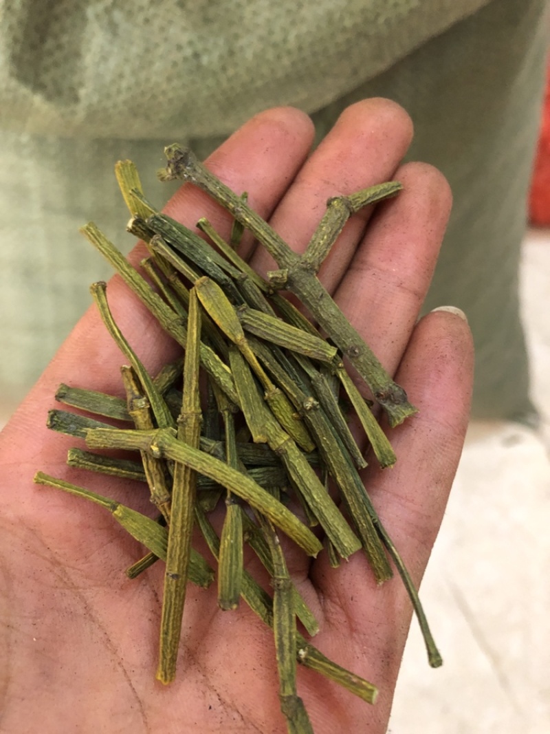 螃蟹脚，寄生，一手货源，颜色绿，长期大货