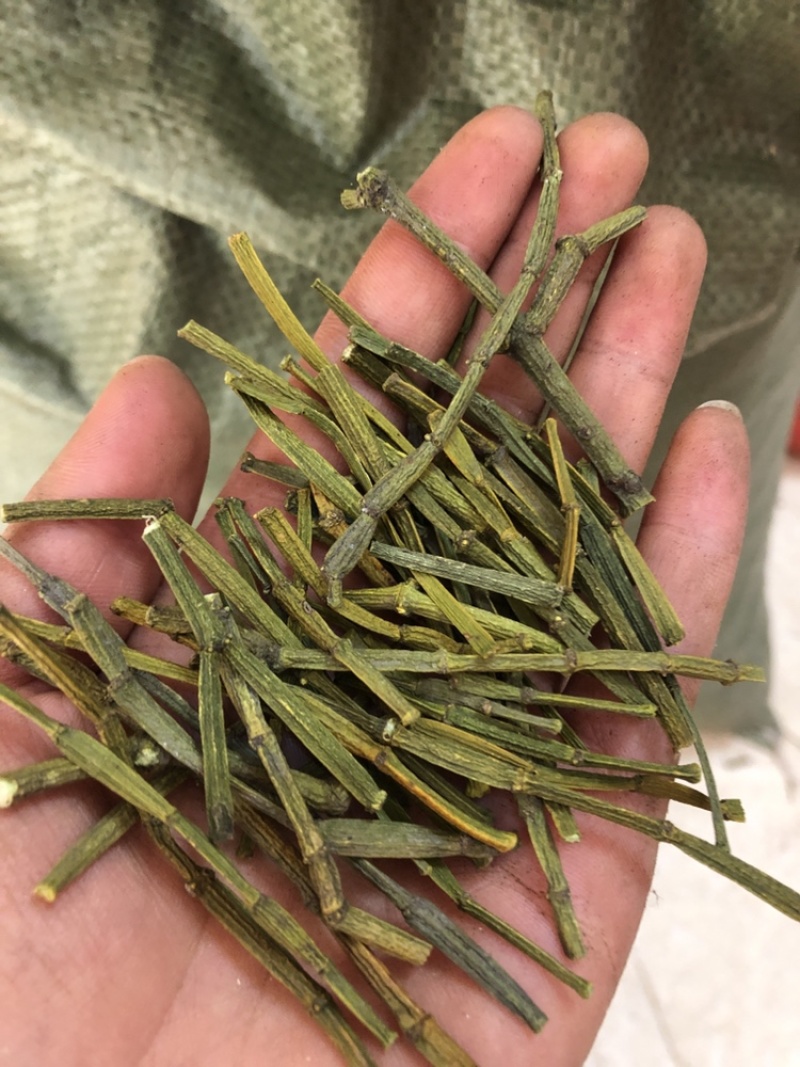 螃蟹脚，寄生，一手货源，颜色绿，长期大货