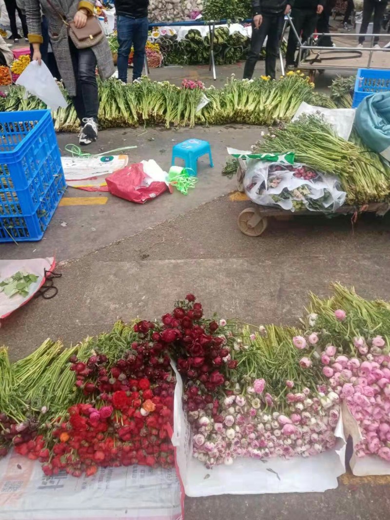 百合鲜花全国空运当天到货空运便宜当天到货