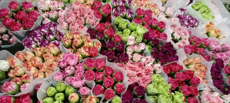 百合鲜花全国空运当天到货空运便宜当天到货