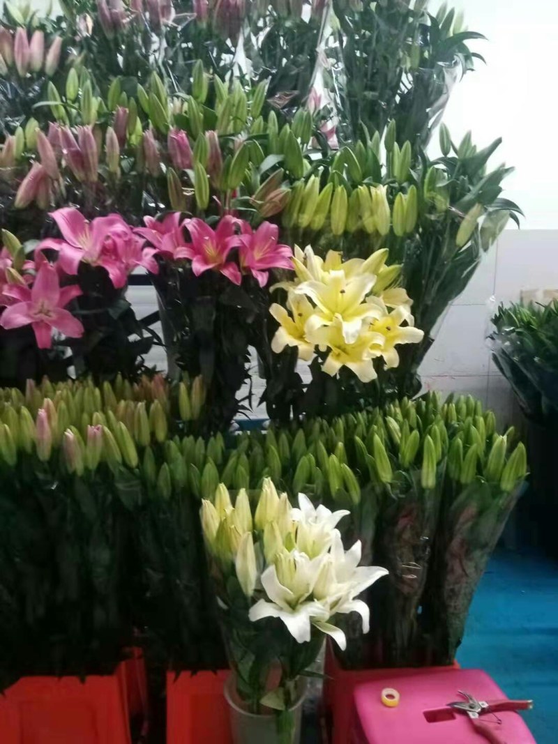 百合鲜花全国空运当天到货空运便宜当天到货