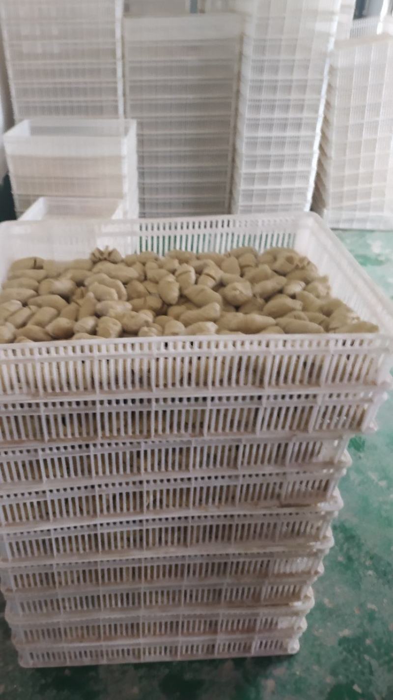 面筋头批发正规厂家，纯谷朊粉手工制作