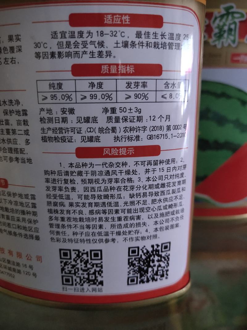 绿霸龙西瓜种子，中熟偏早果实椭圆形、抗病大果型、口感好