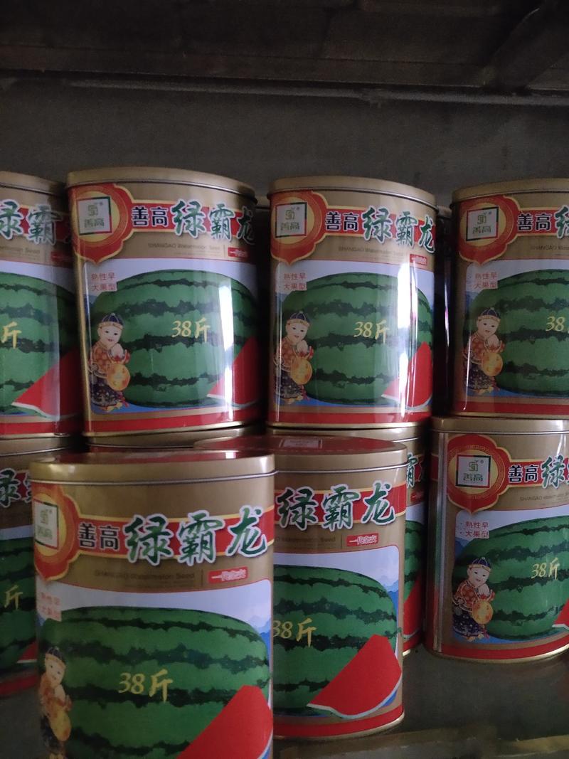 绿霸龙西瓜种子，中熟偏早果实椭圆形、抗病大果型、口感好