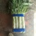 陕西精品红叶香莴苣大量上市，货源充足，可提供视频看货