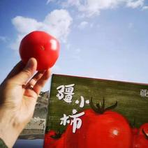 包邮西红柿新疆沙漠西红柿，沙瓤，自然熟营养丰富