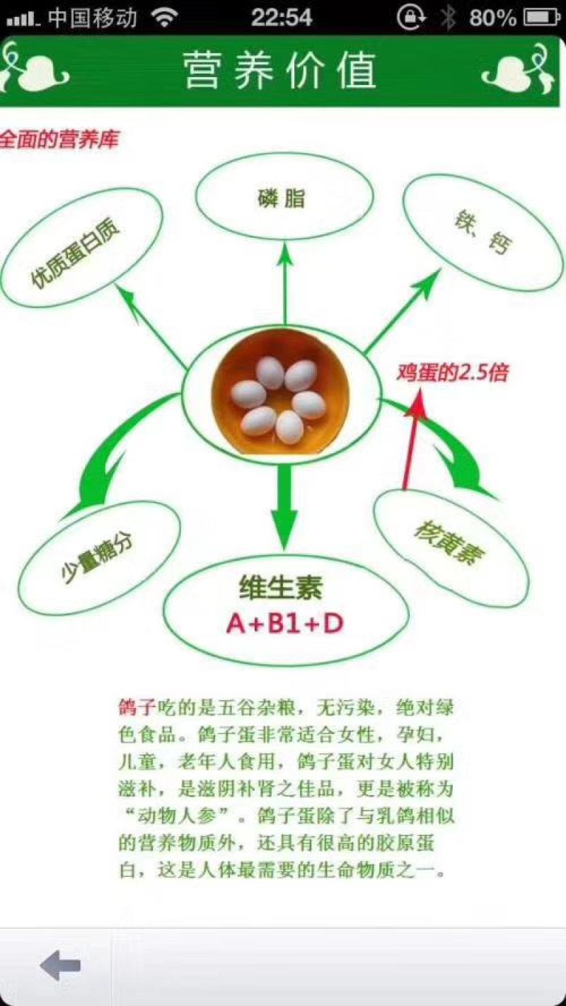 鸽子蛋散养新鲜鸽子蛋孕妇宝宝营养生鲜蛋白鸽蛋顺