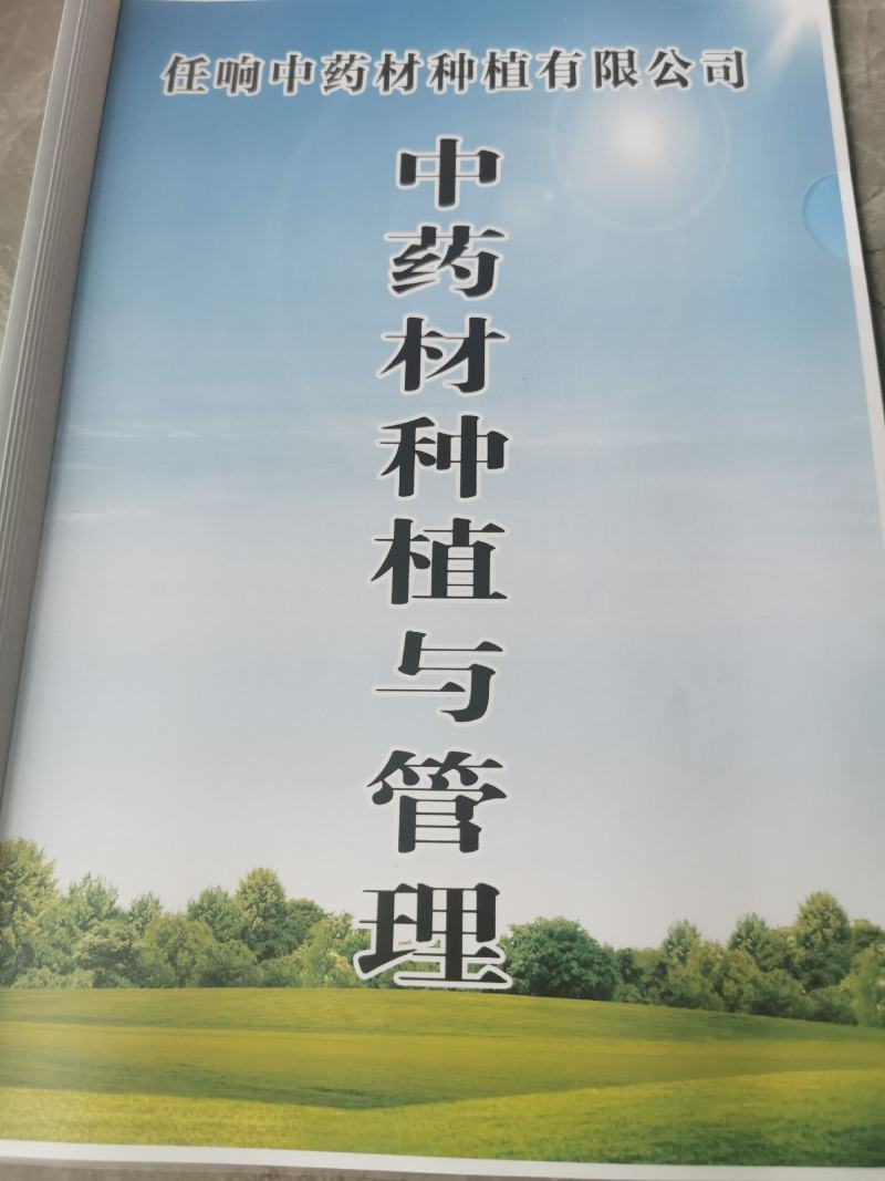 亳州射干苗观赏药用苗全程技术指导批发零售基地现货包成活