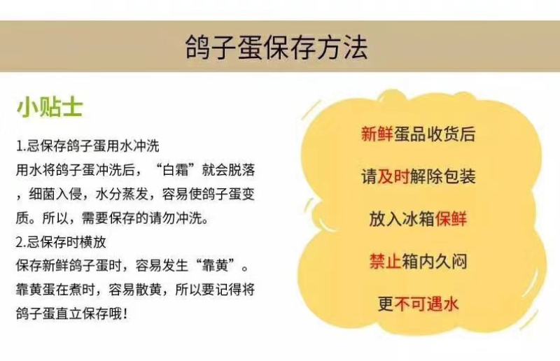 鸽子蛋散养新鲜鸽子蛋孕妇宝宝营养生鲜蛋白鸽蛋顺