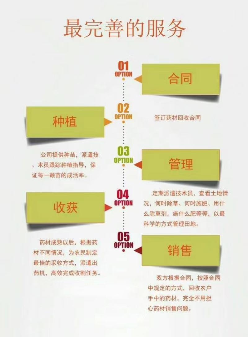 亳州射干苗观赏药用苗全程技术指导批发零售基地现货包成活