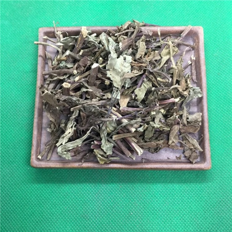 猫须草保庆药业批发猫须草肾茶
