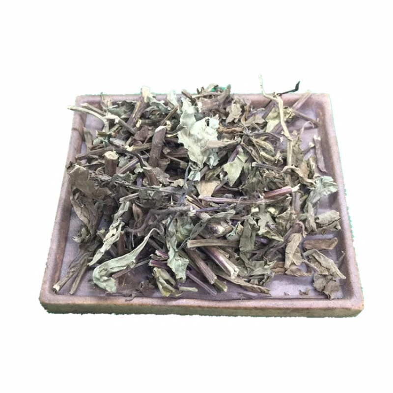 猫须草保庆药业批发猫须草肾茶