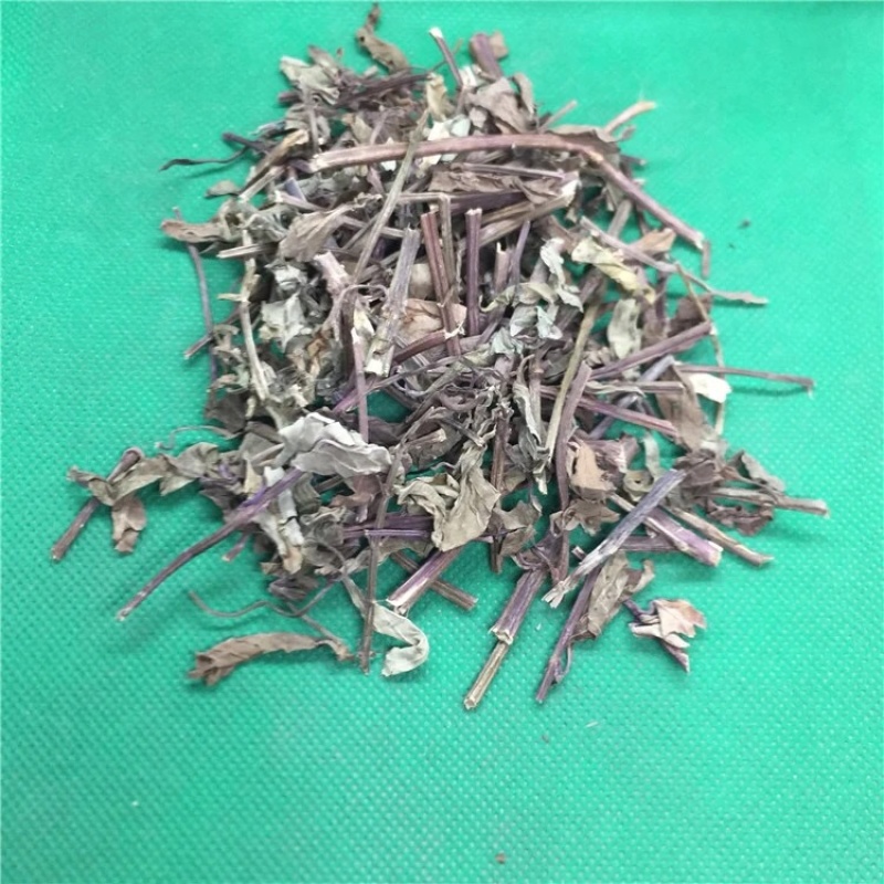 猫须草保庆药业批发猫须草肾茶