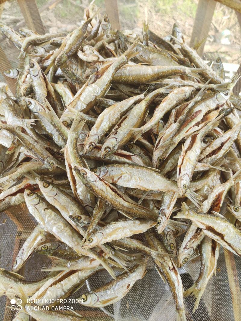 油炸蓝刀鱼/开肚/去内脏/小河鱼/淡盐/水库鱼/