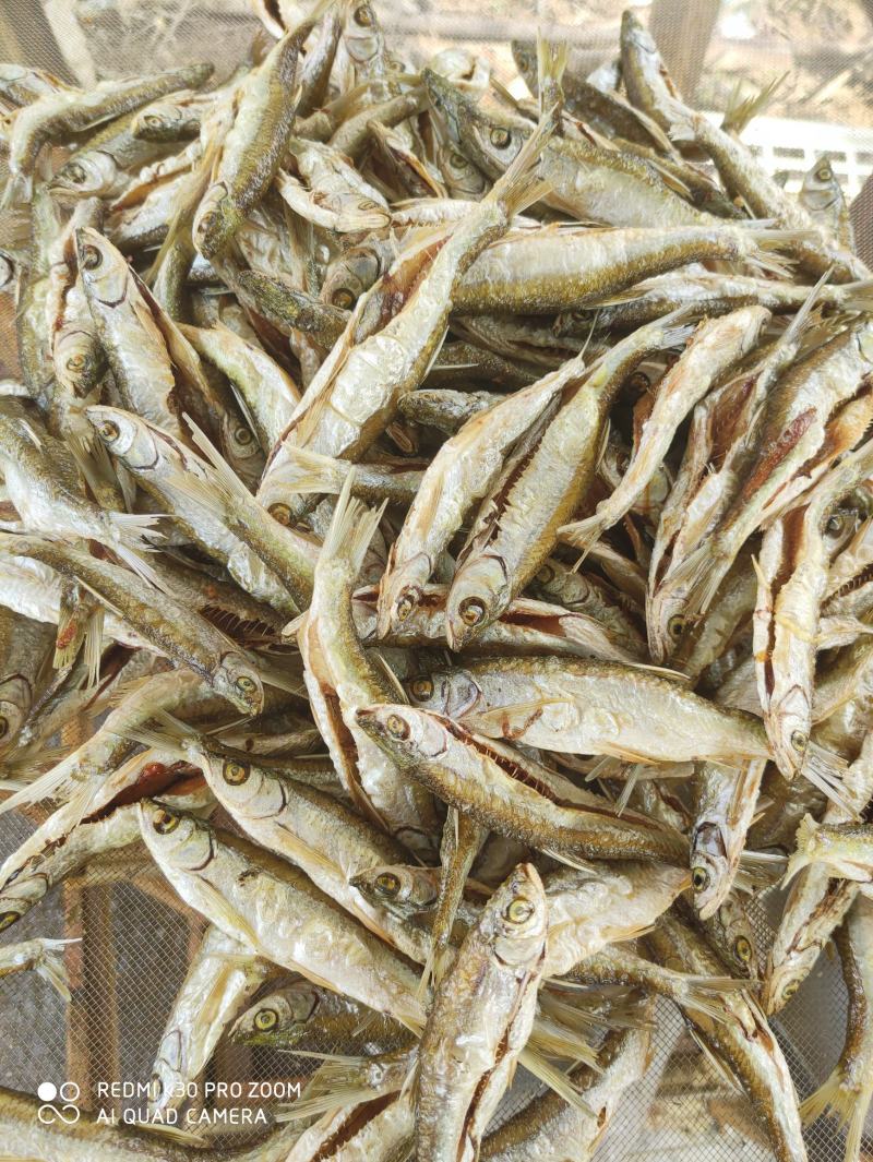 油炸蓝刀鱼/开肚/去内脏/小河鱼/淡盐/水库鱼/