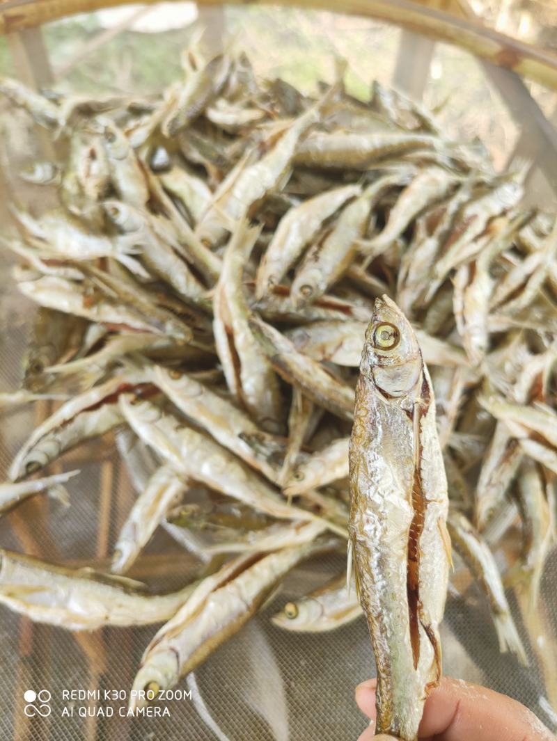 油炸蓝刀鱼/开肚/去内脏/小河鱼/淡盐/水库鱼/