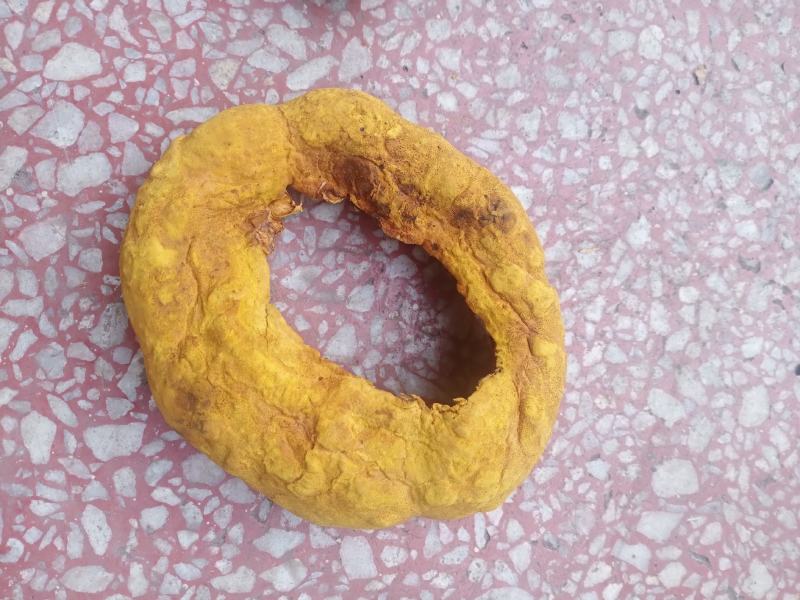 桑黄干品西峡县科达菌种厂桑黄种植基地
