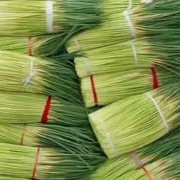 中牟红帽蒜苔开始上市