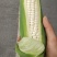 生鲜糯玉米万糯2000