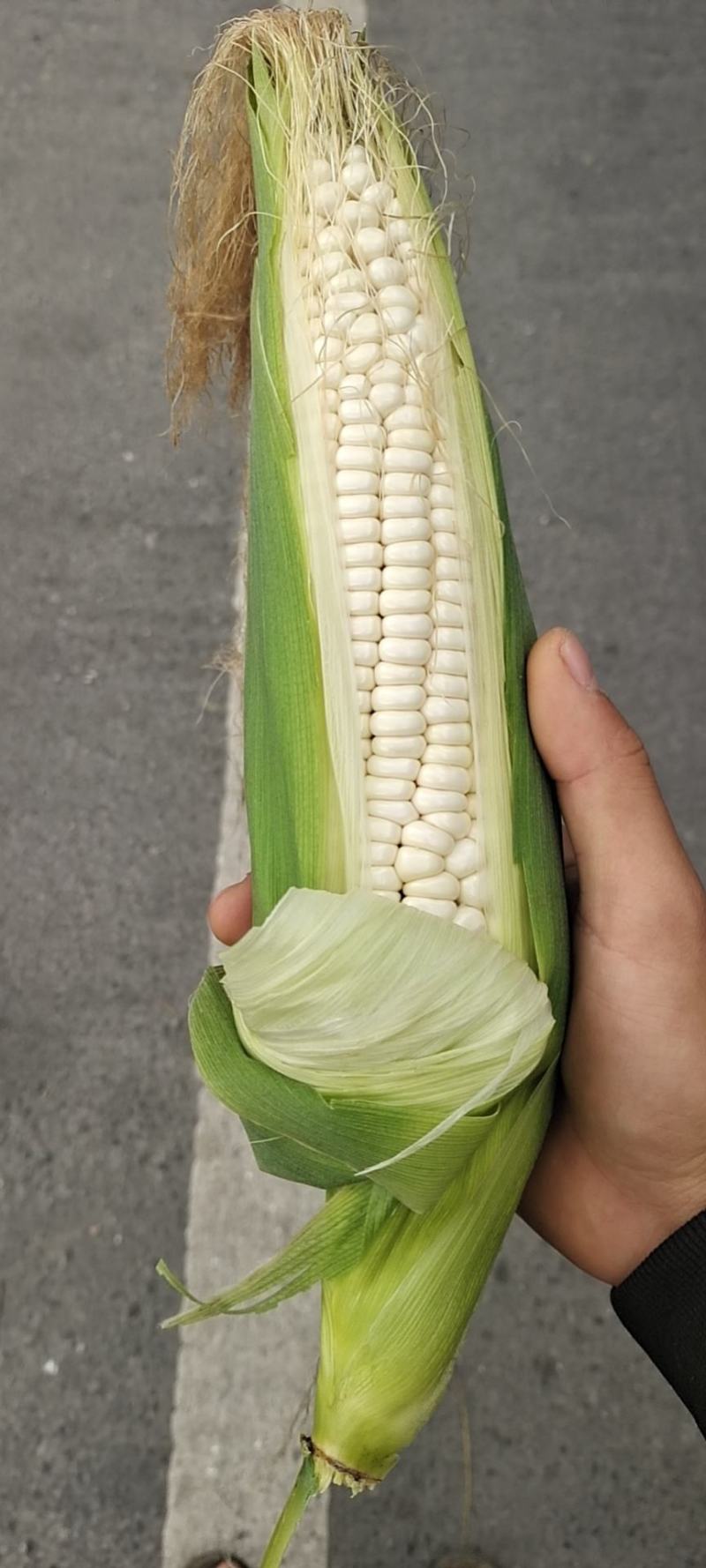 生鲜糯玉米万糯2000