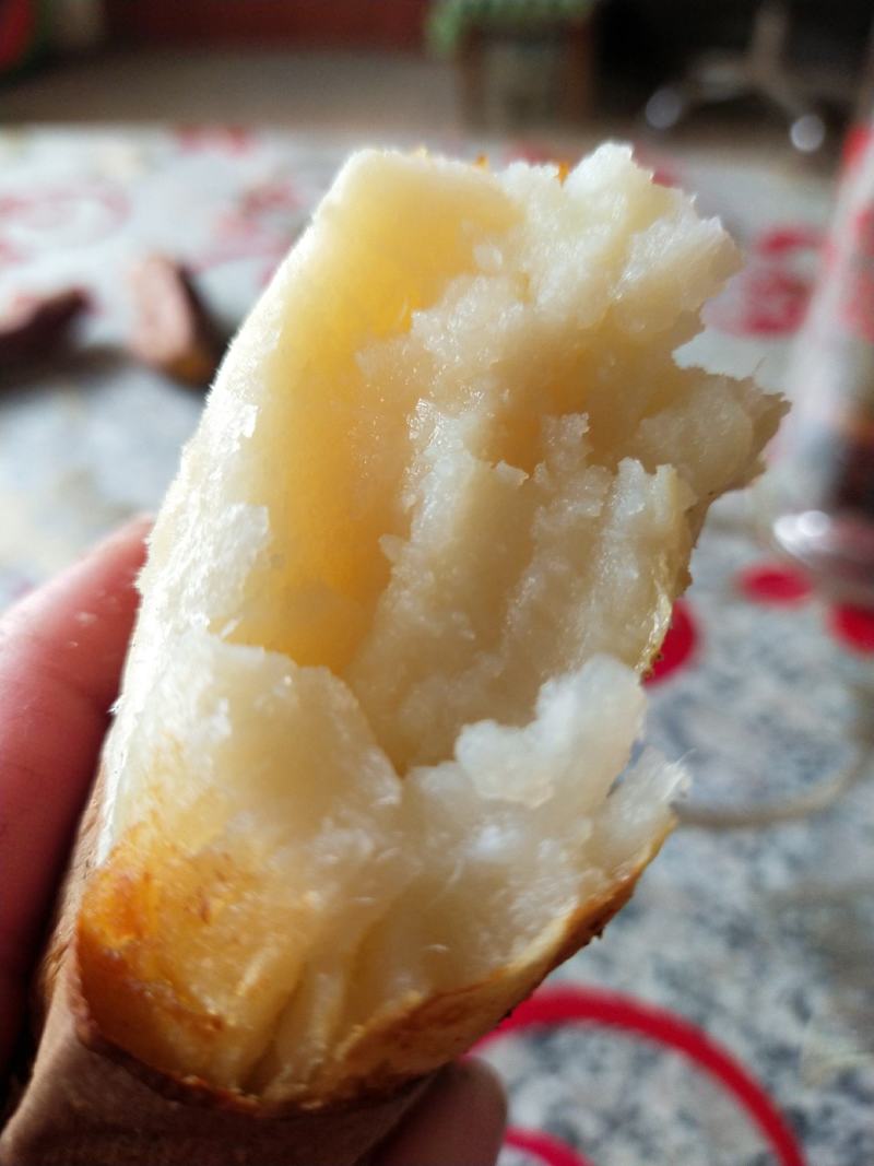 大量供应哈密红薯口甜香