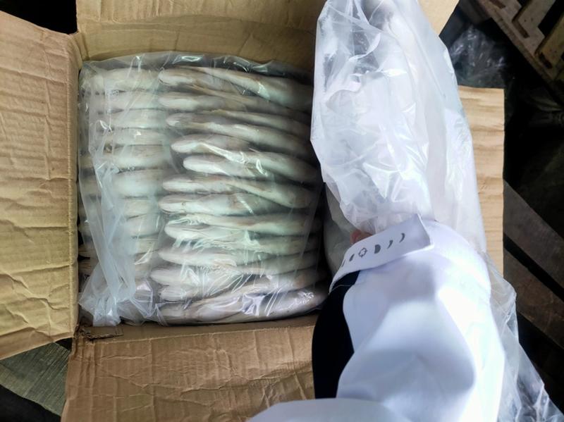 巴基斯坦白姑鱼100-200物美廉价，冷链物流配送全国