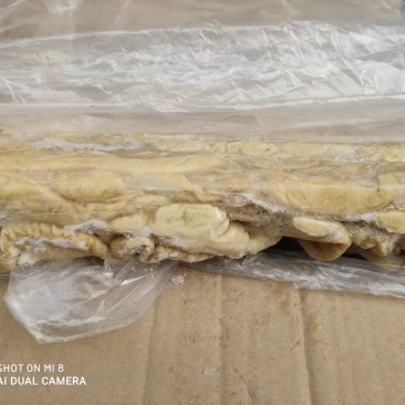 半熟猪大肠，半成品大肠，预煮猪大肠，纯干货，去油，干净