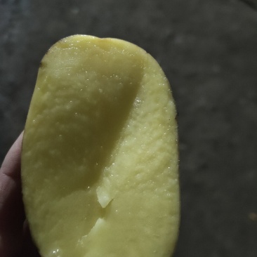 V7，土豆热销中，干洗，货源充足长期供应