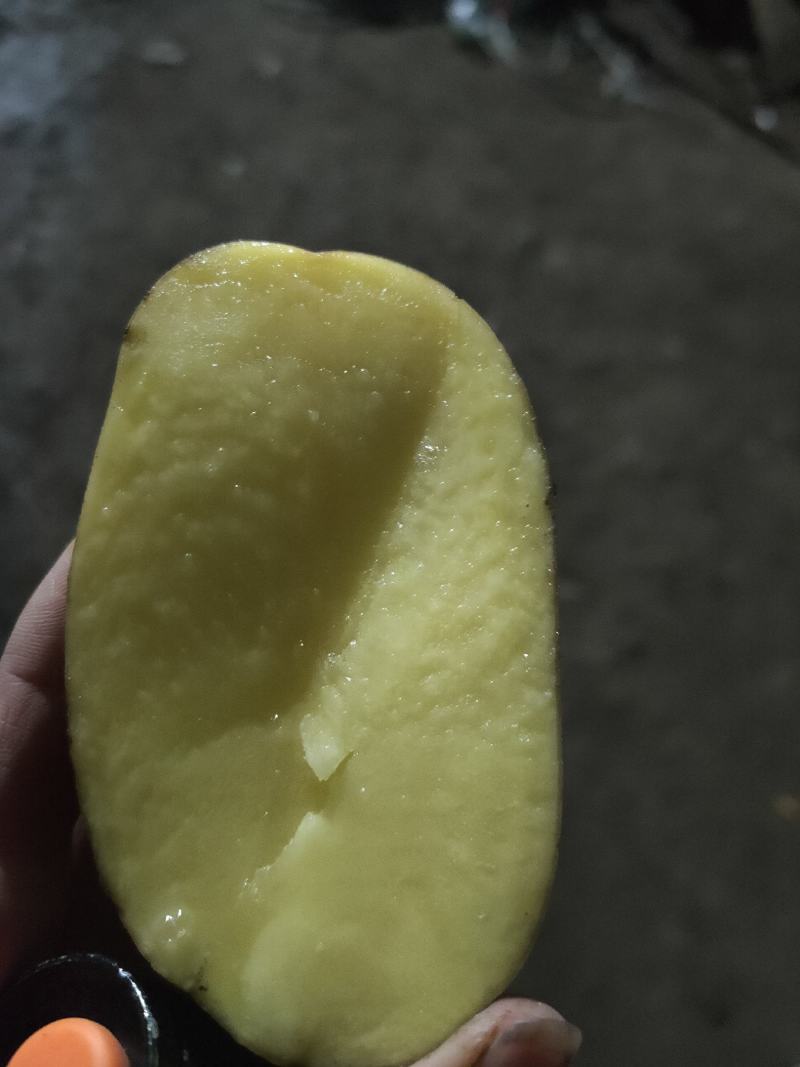 V7，土豆热销中，干洗，货源充足长期供应