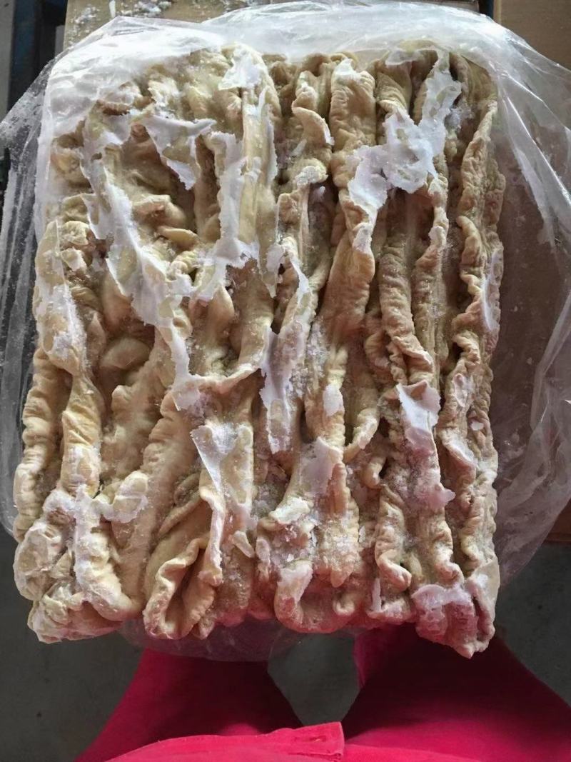 半熟猪大肠，半成品大肠，预煮猪大肠，纯干货，去油，干净