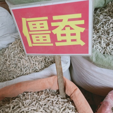 中药材批发僵蚕药材批发欢迎选购