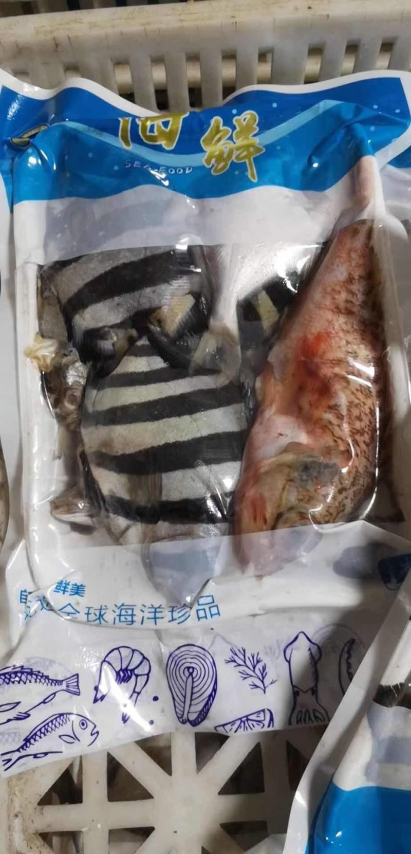 去内脏免清洗海杂鱼海鱼深海海鱼江苏海鲜水产