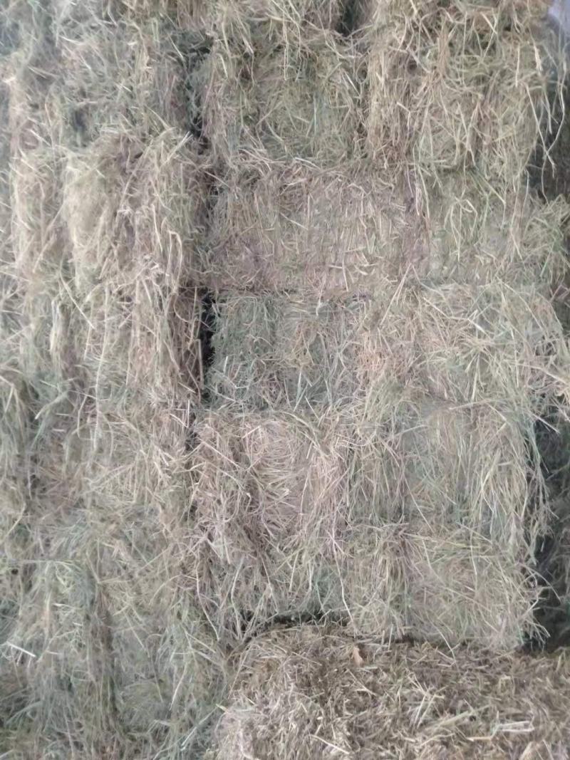 小方捆牛羊稻草。齐草。小麦秸秆。菌草。治沙草大量出售。
